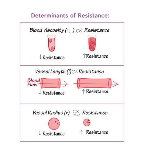 peripheral resistance equation